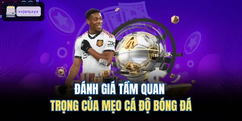 Phân tích vai trò mẹo cá độ bóng đá