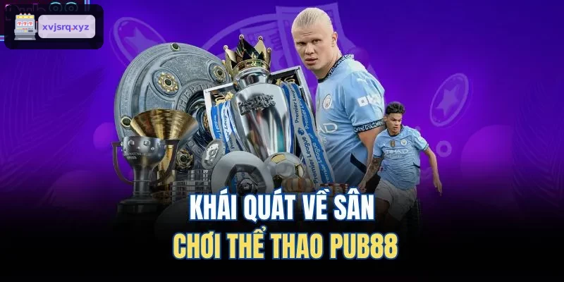 Khái quát về sân chơi thể thao RIK88